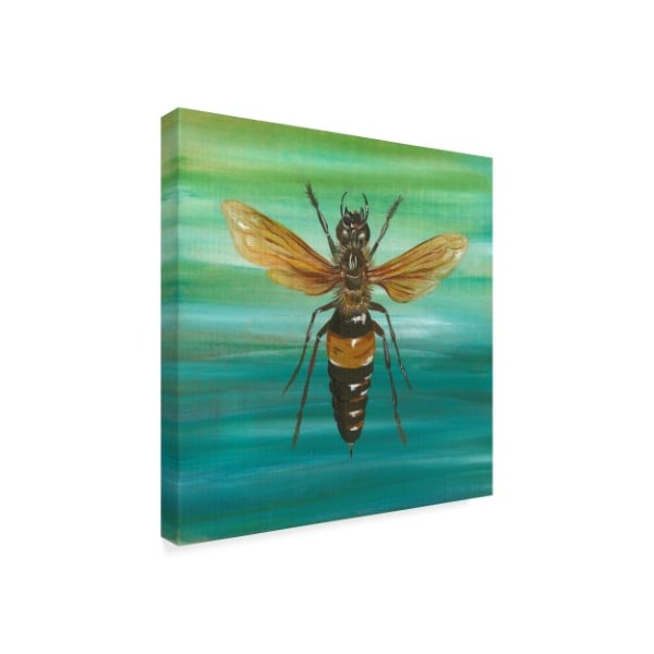 Gigi Begin 'Honey Bee Texture' Canvas Art,14x14